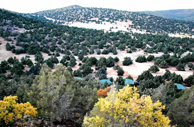 Akkışla