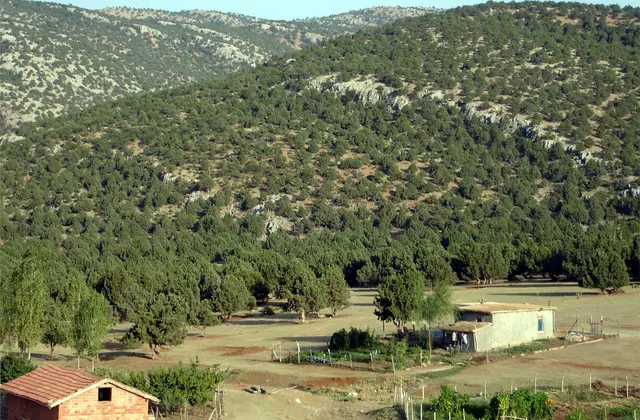 Akkışla