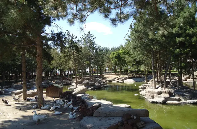Kıranardı Kent Ormanı