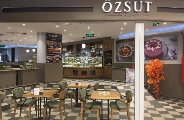 Özsüt