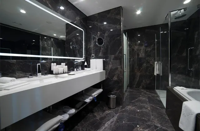Radisson Blu Otel