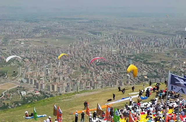 Talas