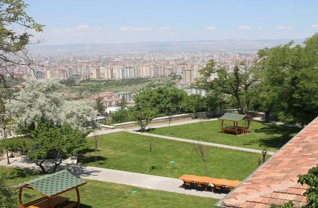 Talas