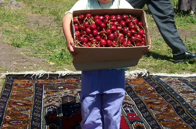 Yahyalı
